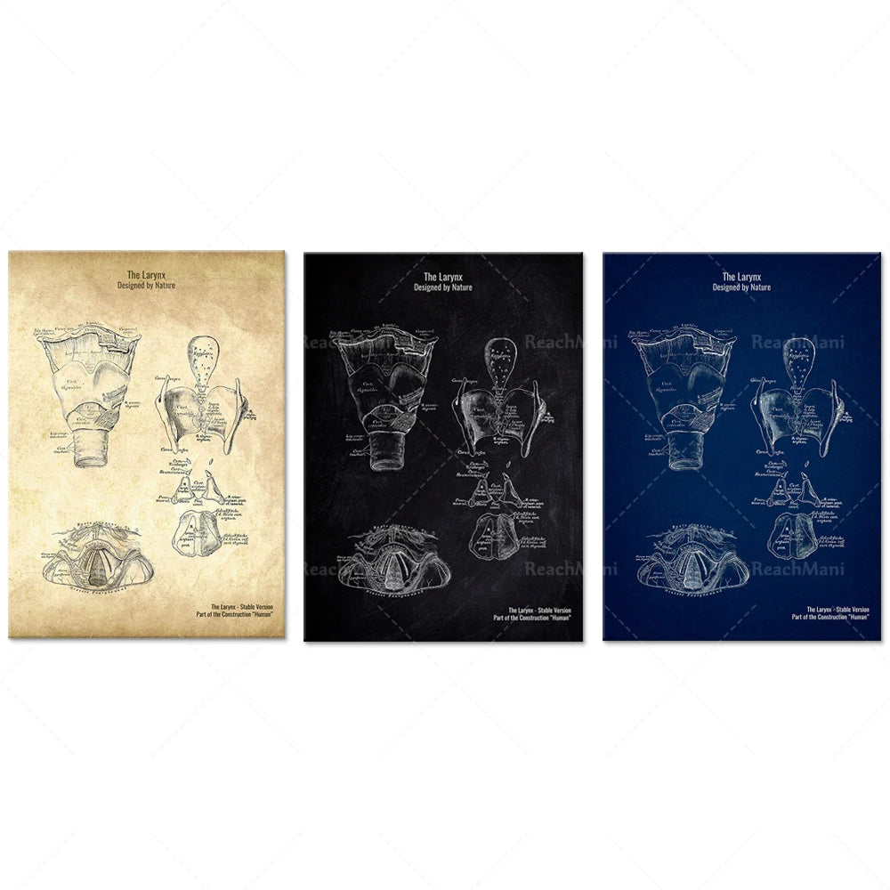 L'image montre un schéma détaillé de l'anatomie du larynx, avec des vues diagrammatiques en noir et blanc et en bleu marine sur un fond vieilli.