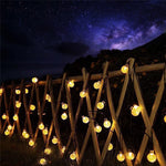 guirlande lumineuse solaire 100 leds multicolore translucides moderne clips extérieur jardin