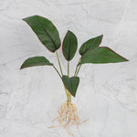 décoration intérieure plante artificielle verte feuilles modernes sans pot