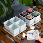 pots plastique blanc succulentes racines contrôle moderne perforations verticales jardin