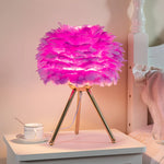 Détail des plumes d'oie sur la lampe de chevet LED