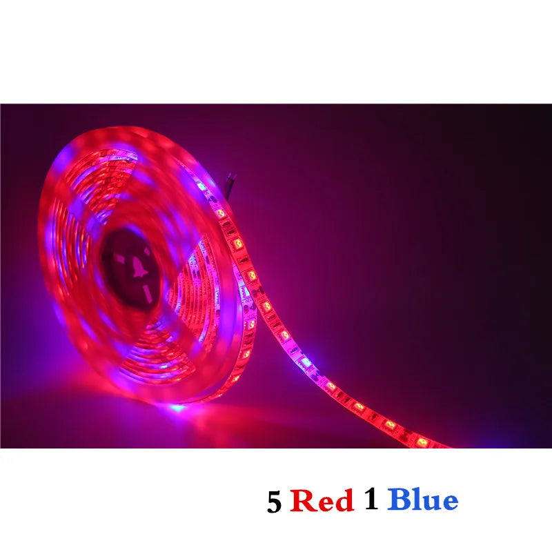 ruban led culture plantes 10m rouge bleu full spectrum adhésif moderne led phyto adaptable