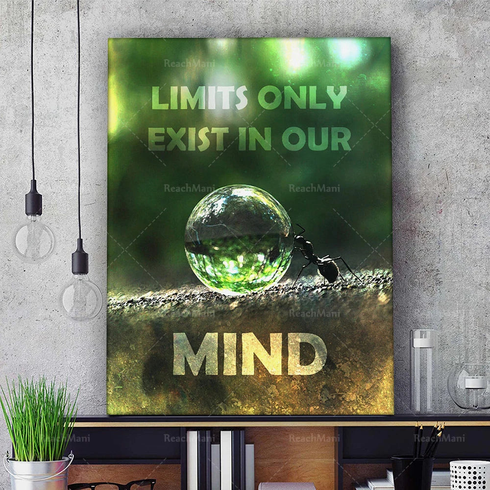 L'image montre une affiche avec le texte "Limits only exist in our mind" et une sphère en verre réfléchissante posée sur un sol rocheux, évoquant l'idée de repousser ses propres limites.