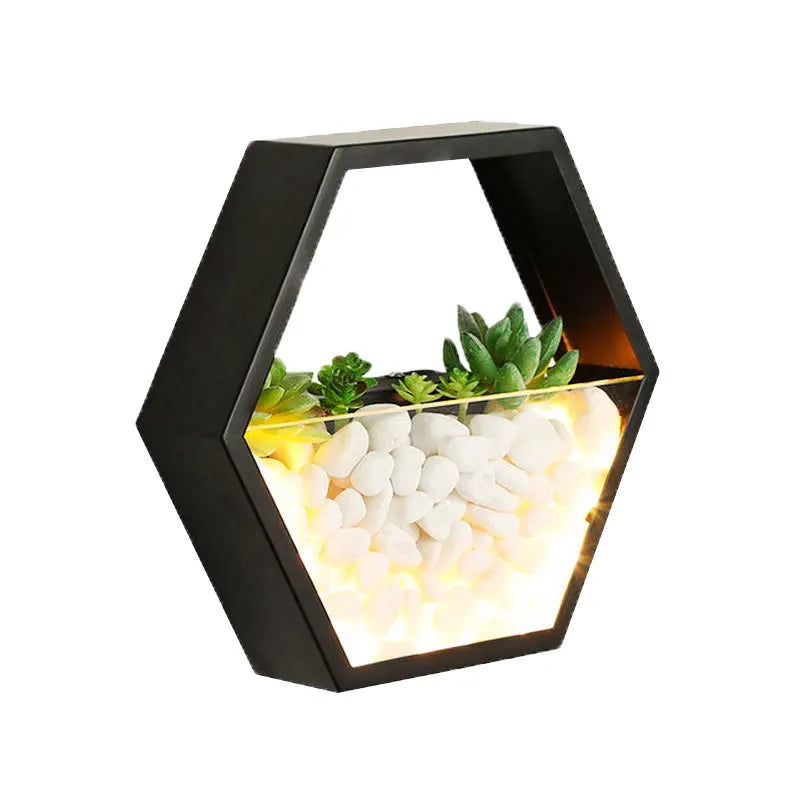 Terrarium mural moderne minimaliste plante succulente galets blancs verre transparent chambre entrée