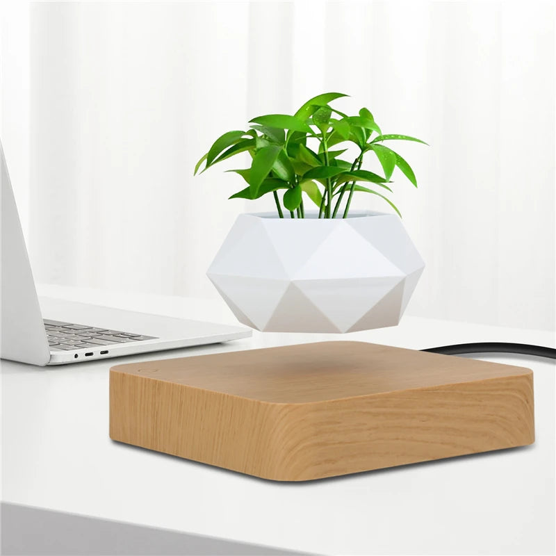 Support plante flottante moderne blanc adhésif plante artificielle décoration intérieure minimaliste texture bois