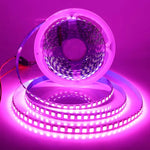 ruban led 120 led 12v blanc bleu rouge vert adhésif ip65 ip67 moderne double