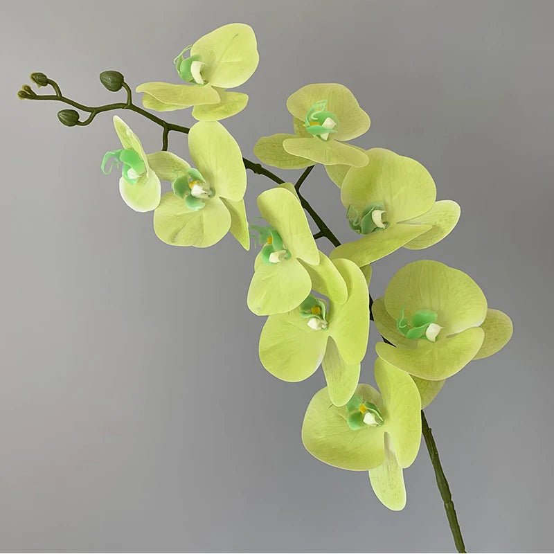 décoration intérieure orchidées artificielles blanc rose jaune feuilles vertes minimaliste mariage anniversaire baby shower