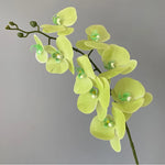 décoration intérieure orchidées artificielles blanc rose jaune feuilles vertes minimaliste mariage anniversaire baby shower