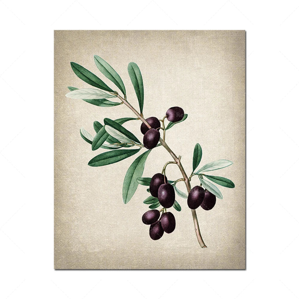 Une branche d'olivier avec des olives noires mûres sur fond beige.