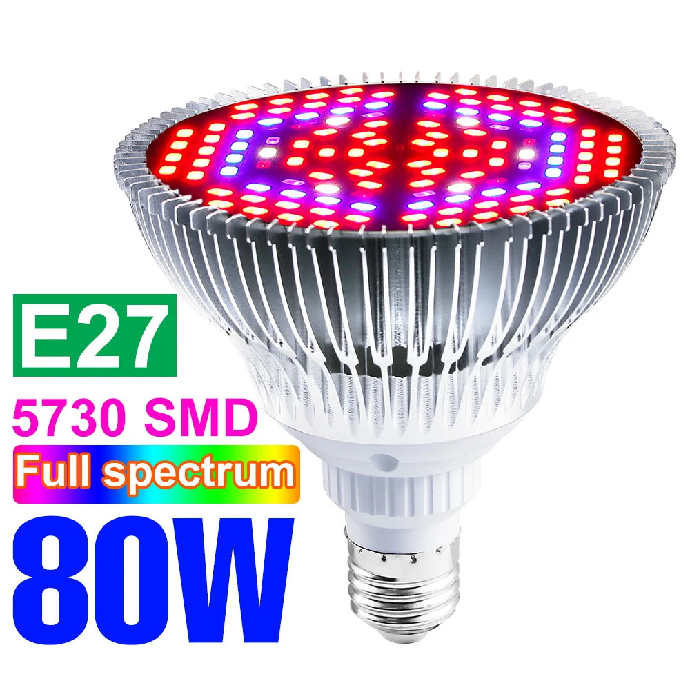lampe croissance plantes led blanc rouge violet forme diamant moderne 50w 80w 100w e27
