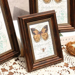 Cadre photo vintage rectangulaire résine marron foncé vert blanc papillon oiseau texte ancien décoration