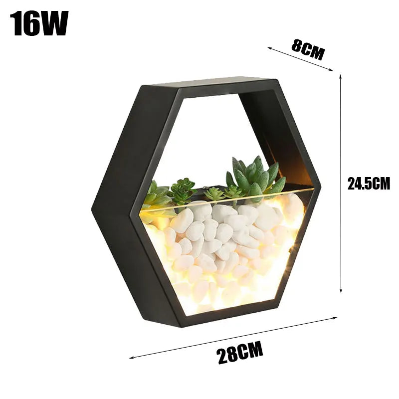 Terrarium mural moderne minimaliste plante succulente galets blancs verre transparent chambre entrée