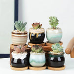 pots céramique fleurs chouette tête oiseau couleur variée texture artistique succulente