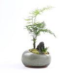 pots plante céramique glacée moderne minimaliste vert gris matériau poterie plante roche mousse