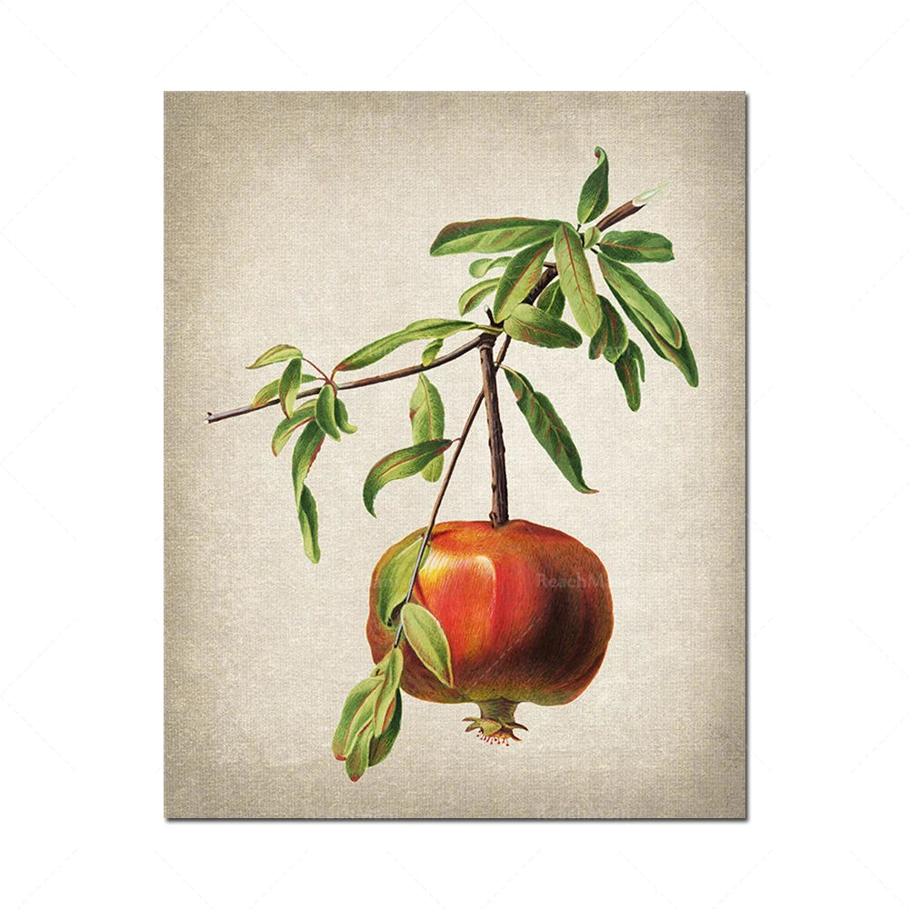 Une pomme rouge suspendue à une branche d'arbre verdoyante sur un fond texturé.