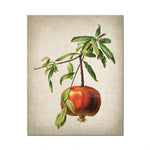 Une pomme rouge suspendue à une branche d'arbre verdoyante sur un fond texturé.