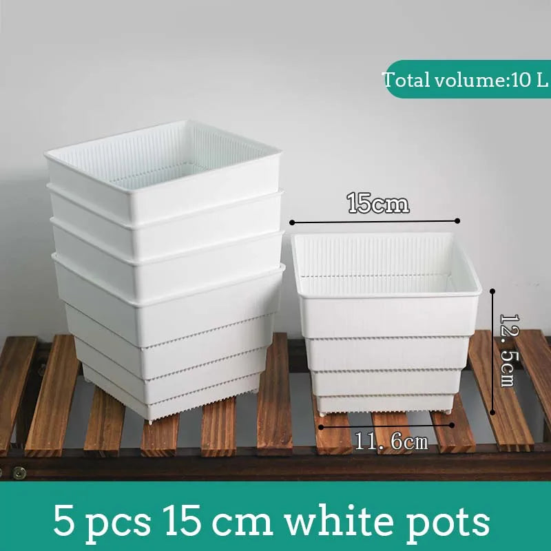 Pots succulentes blancs moderne rainures verticales drainage aération 10cm 12cm 15cm