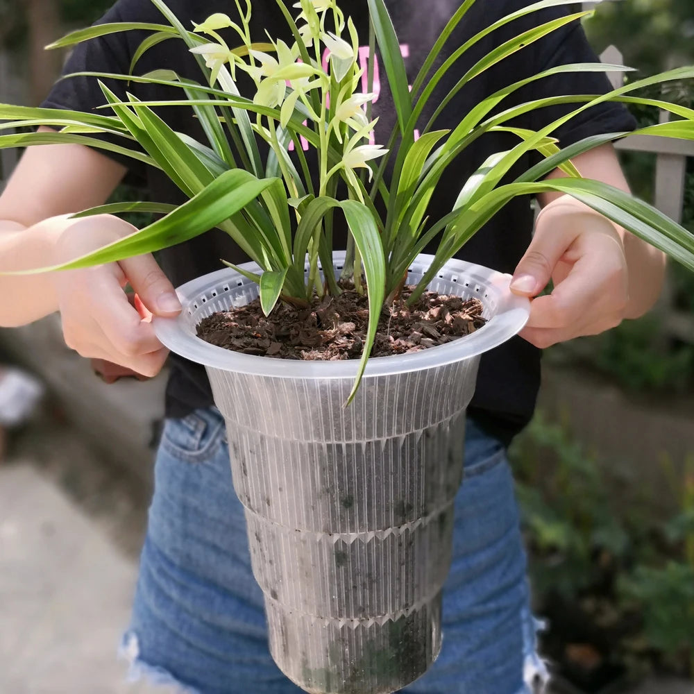 cache pot moderne cattleya phalaenopsis blanc noir air pruning racines controle drainage