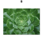 Une succulente fleur verte s'ouvre en spirale avec des feuilles luisantes.