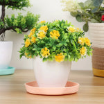 assiettes modernes plastique durable sauciers plante plateaux d'égouttement pots fleurs trépieds jardin intérieur extérieur