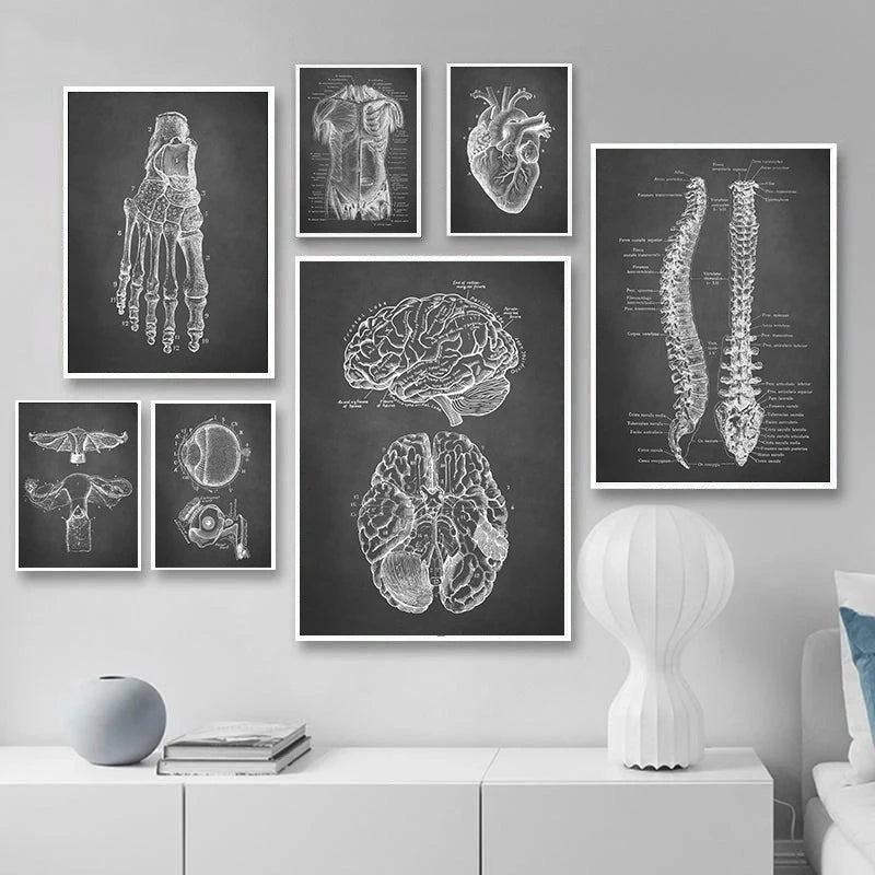 Tableau anatomie humaine en toile noire déco murale
