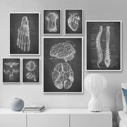 affiches anatomiques encadrées noir blanc vintage scientifique ensemble décoration murale illustrations corps humain pied
