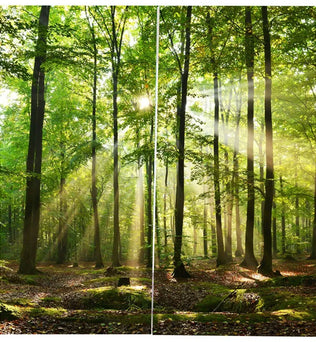 Tableau mural de décoration intérieure représentant une forêt verdoyante avec des rayons de soleil traversant les arbres, créant une ambiance apaisante et naturelle. Idéal pour ajouter une touche de nature à votre salon ou bureau. Capturant la beauté sereine d’un sous-bois, ce tableau est parfait pour créer un espace relaxant et harmonieux.
