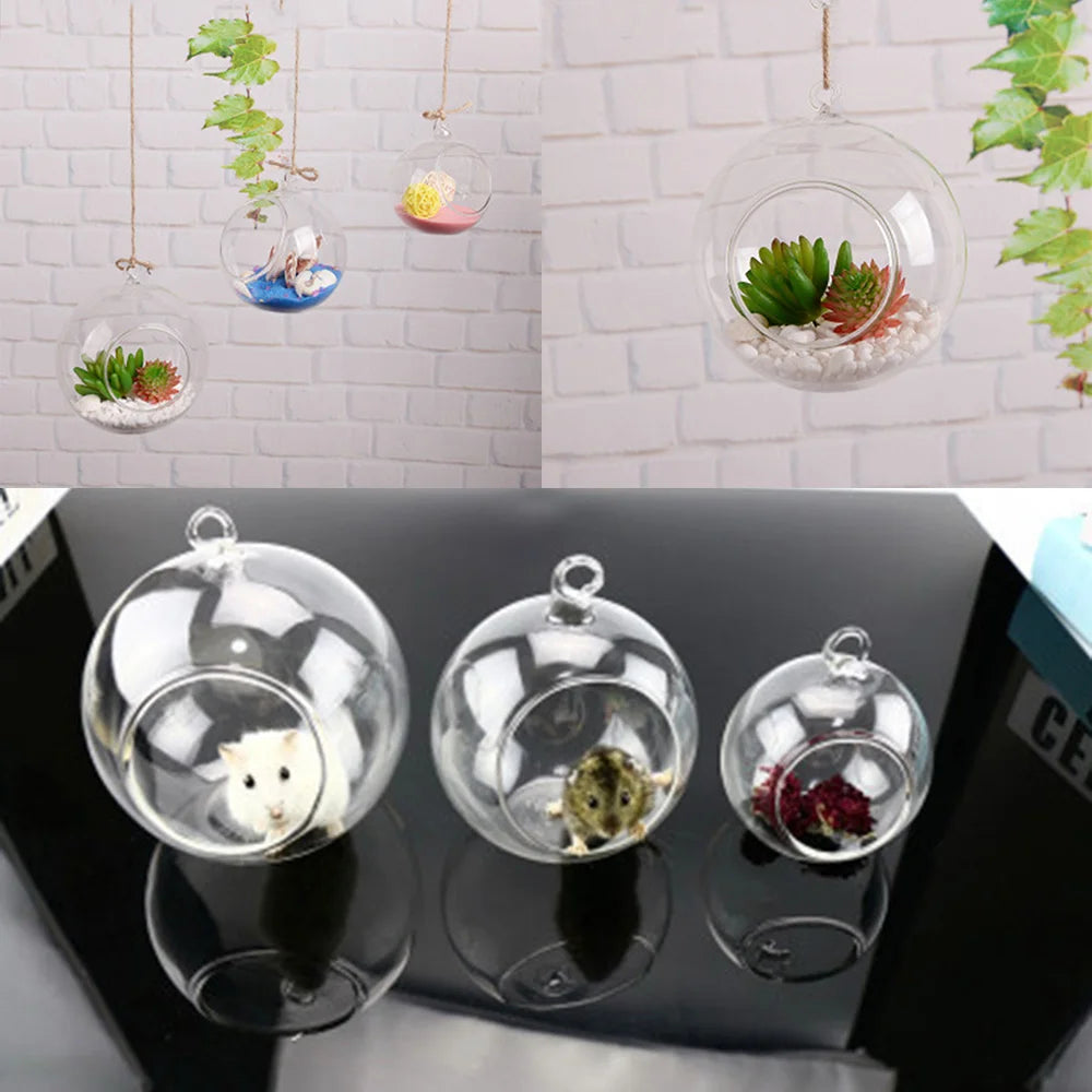 boule verre transparent anneaux métalliques deco jardin moderne suspension plante intérieure ornement minimaliste graviers
