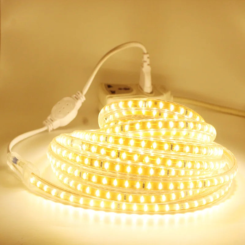 Ruban LED éclairant un jardin de nuit