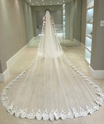 voile mariée blanc dentelle motifs floraux bord appliqué clips métalliques classique élégant translucide occasion