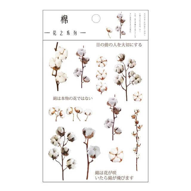 fleurs séchées décoratives naturelles adhésives transparentes variées sacs enfants papeterie mignonne