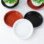 assiettes plante plastique rouge noir blanc modernes 10 pouces