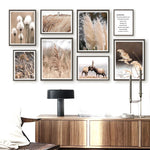 Une collection d'images naturelles et automnales, captées avec soin, qui évoquent la beauté et la quiétude de la saison.