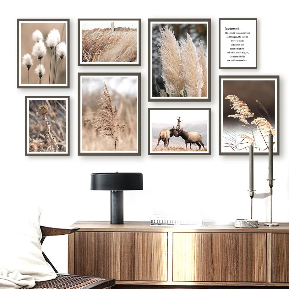 Une collection d'images naturelles et automnales, captées avec soin, qui évoquent la beauté et la quiétude de la saison.