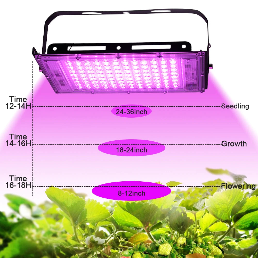 lampe led croissance végétale 100w 150w 50w spectre complet 180deg réglable clips aluminium moderne