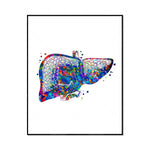 Une représentation colorée et vibrante d'un foie avec des motifs abstraits et éclatés, symbolisant la vitalité et la diversité de cet organe essentiel.