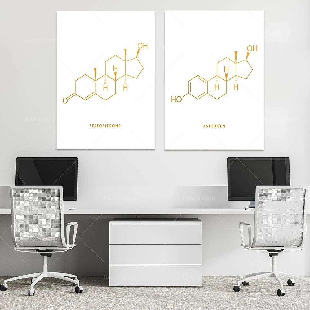 Des affiches illustrant les formules chimiques de la testostérone et de l'œstrogène exposées dans un bureau moderne avec des ordinateurs sur un bureau blanc.