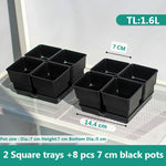 pots plastique blanc succulentes racines contrôle moderne perforations verticales jardin
