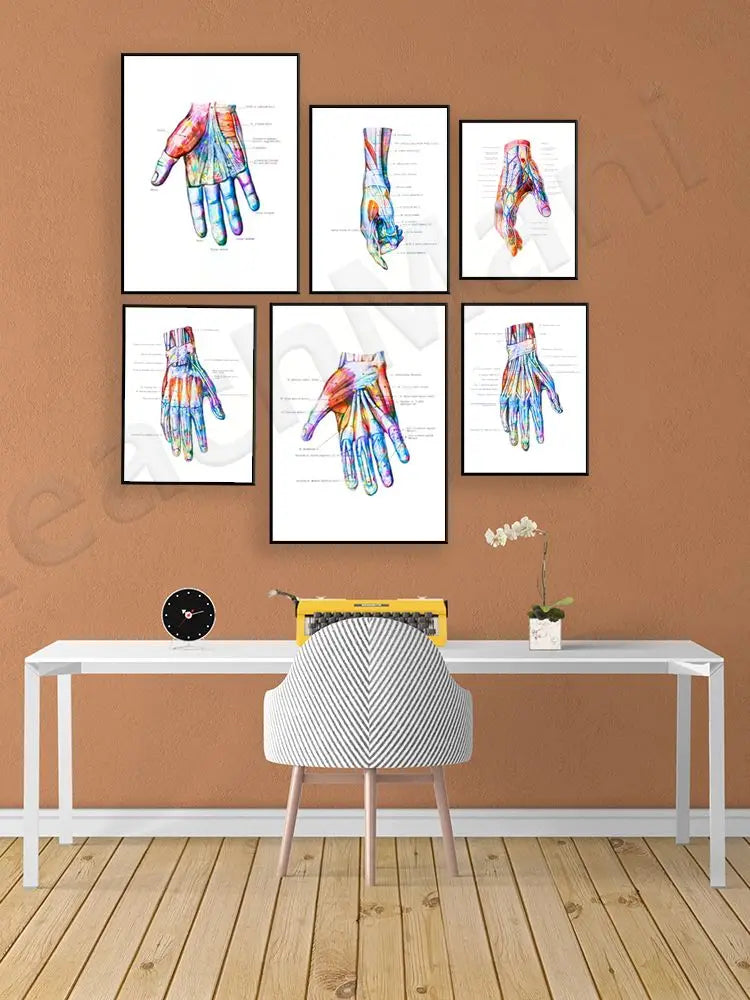Les images montrent des illustrations anatomiques colorées et détaillées des mains et des avant-bras, avec des légendes explicatives, créant une affiche décorative et informative pour un espace de travail ou d'étude.