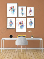 Les images montrent des illustrations anatomiques colorées et détaillées des mains et des avant-bras, avec des légendes explicatives, créant une affiche décorative et informative pour un espace de travail ou d'étude.