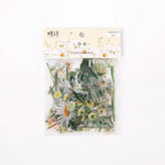 autocollants fleurs séchées diverses couleurs naturelles artisanal scrapbooking matériel décoration 40 pièces