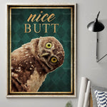 L'image montre un hibou avec de grands yeux jaunes sur un fond vert foncé, avec le titre "Nice Butt" en lettres dorées.