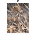Une fleur de chardon solitaire se dresse parmi les herbes séchées, ses épines pointues accrochant doucement l'attention.
