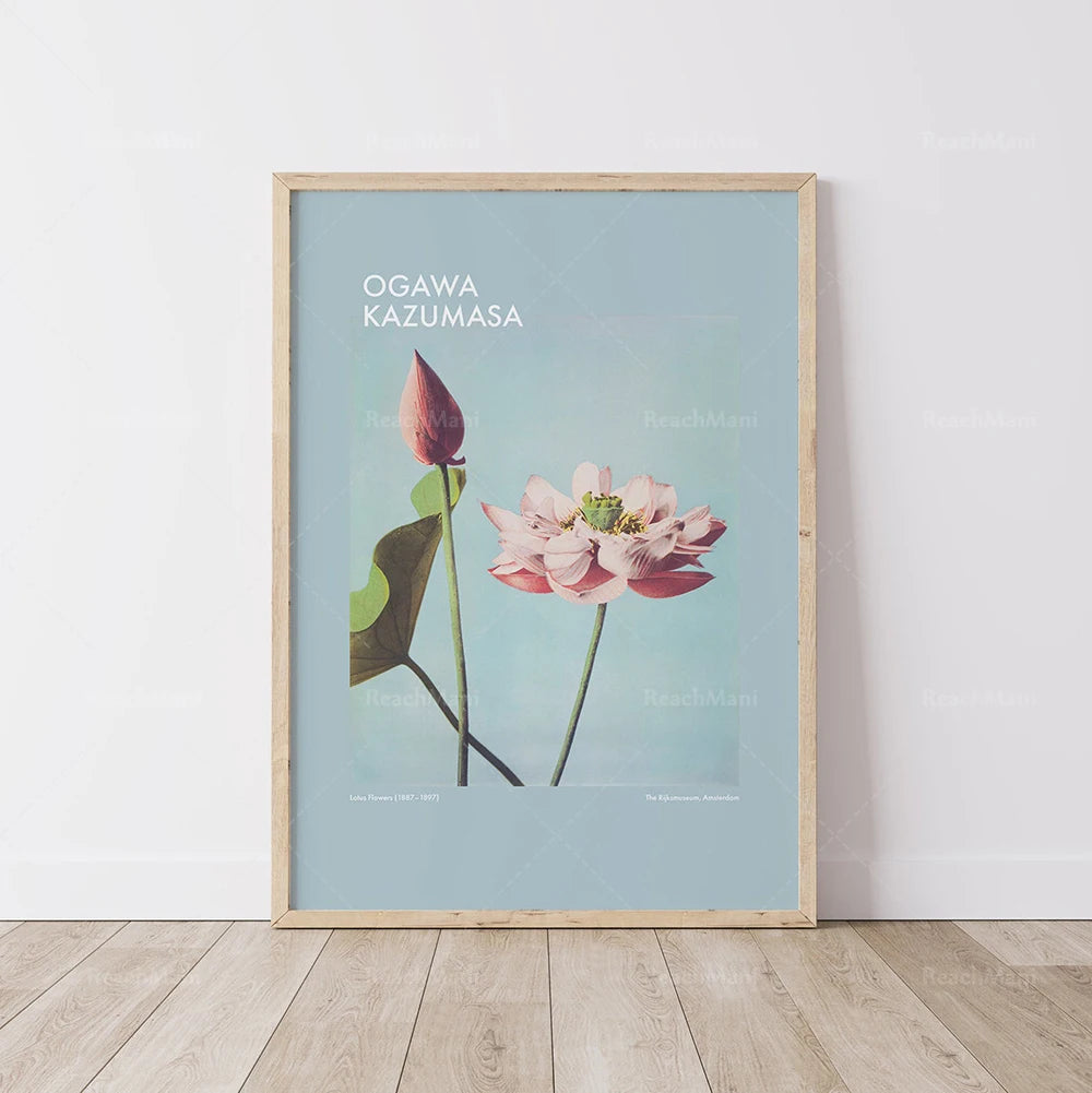 L'image présente une belle illustration d'une fleur de lotus avec le nom de l'artiste Ogawa Kazumasa, sur un fond vert clair.