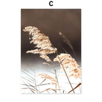 Des roseaux dorés se courbent délicatement dans la brise, créant une scène naturelle et apaisante.