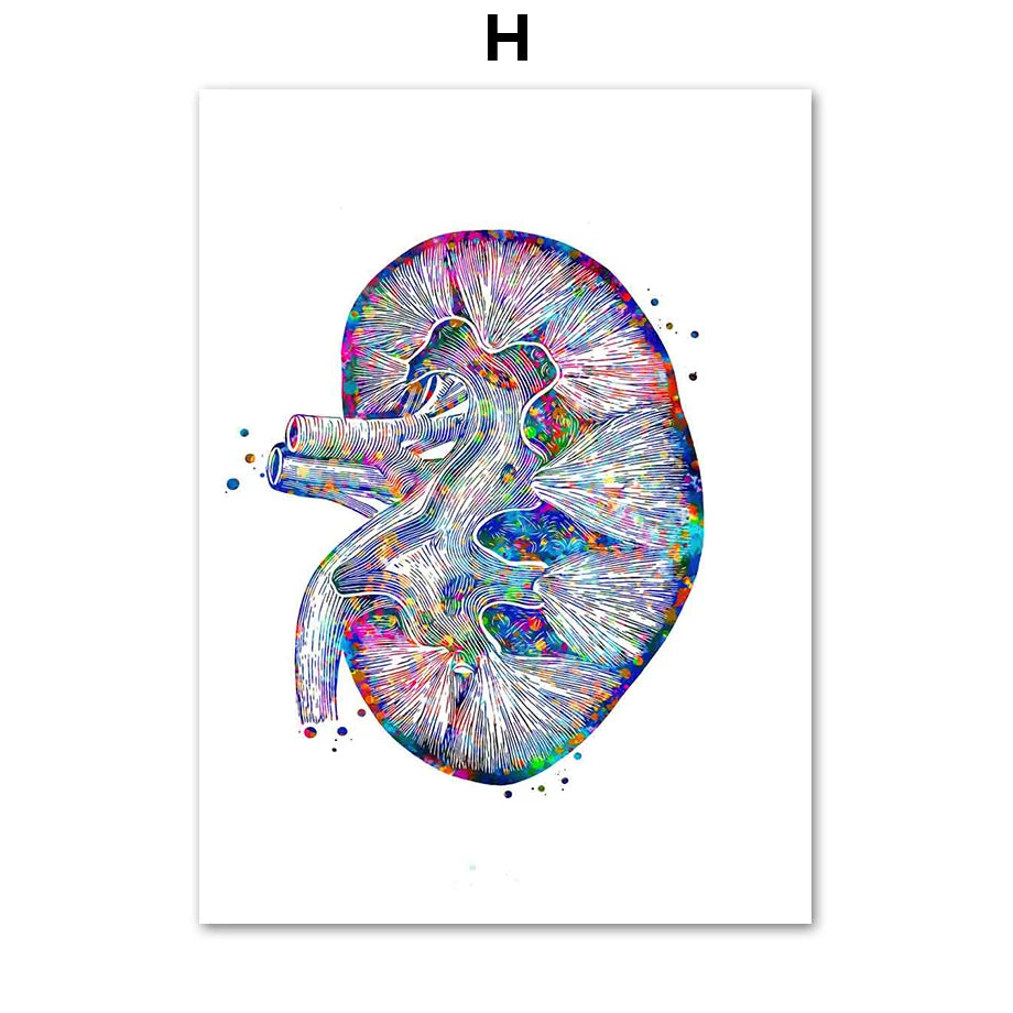 Une image abstraite aux couleurs vives représentant une forme organique rappelant une cellule ou un embryon.