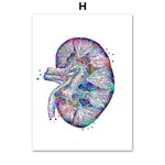 Une image abstraite aux couleurs vives représentant une forme organique rappelant une cellule ou un embryon.