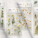 fleurs séchées décoratives naturelles adhésives transparentes variées sacs enfants papeterie mignonne