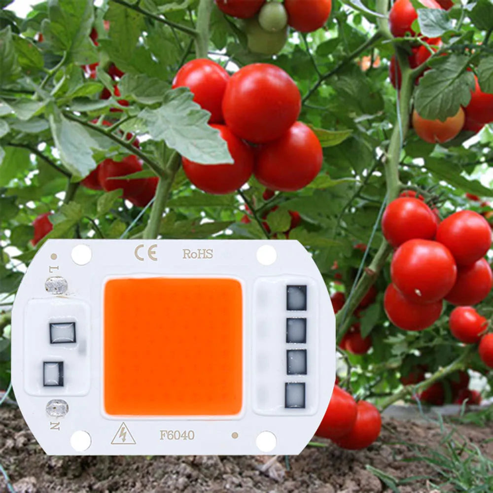 lampe led culture plantes 5w 10w 20w 30w 50w blanc orange moderne 120° 30000h