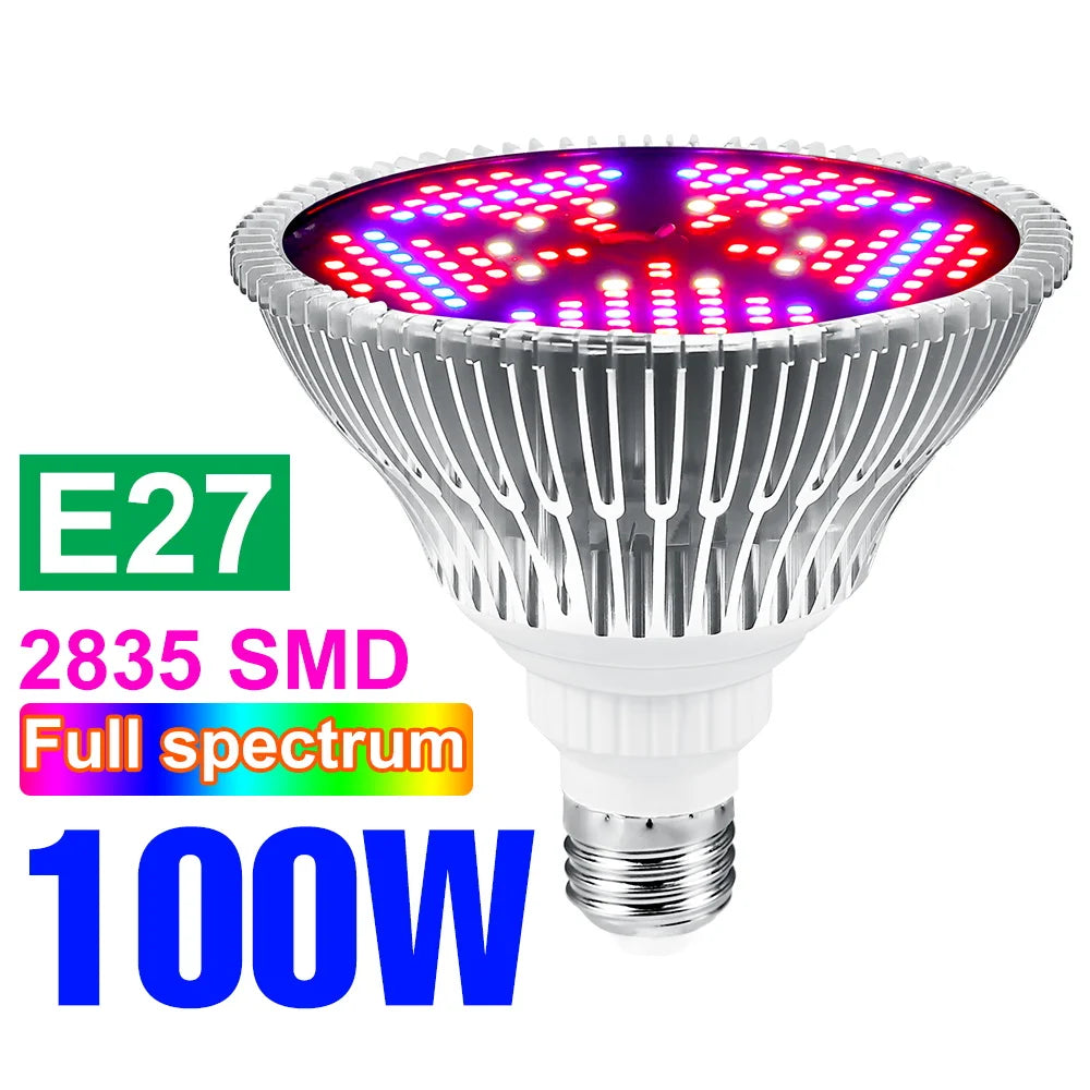 lampe croissance plantes led blanc rouge violet forme diamant moderne 50w 80w 100w e27